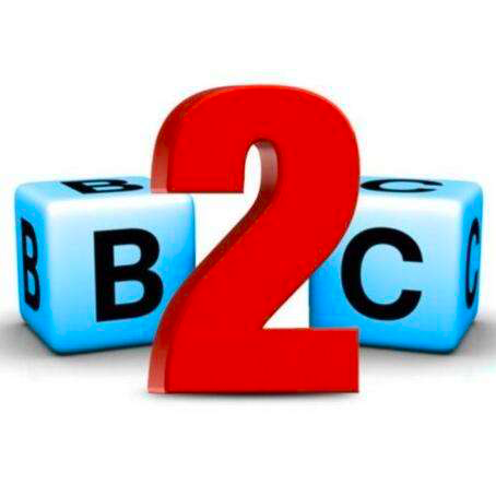 b2c电子商务系统b2c电商